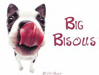 bonjour